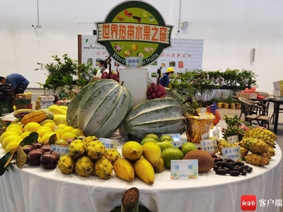 2025年2月，鷹米團(tuán)隊(duì)講解器如何讓世界熱帶水果之窗